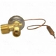 Purchase Top-Quality Expansion Valve by FOUR SEASONS - 39032 pa10