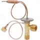 Purchase Top-Quality Expansion Valve by FOUR SEASONS - 39053 pa6