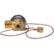 Purchase Top-Quality Expansion Valve by FOUR SEASONS - 39054 pa11
