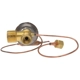 Purchase Top-Quality Expansion Valve by FOUR SEASONS - 39054 pa20