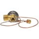 Purchase Top-Quality Valve d'expension by FOUR SEASONS - 39054 pa20