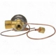 Purchase Top-Quality Expansion Valve by FOUR SEASONS - 39054 pa23