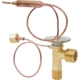 Purchase Top-Quality Valve d'expension de FOUR SEASONS - 39054 pa28