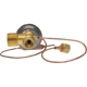 Purchase Top-Quality Valve d'expension de FOUR SEASONS - 39054 pa30