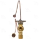 Purchase Top-Quality Expansion Valve by FOUR SEASONS - 39055 pa2