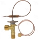 Purchase Top-Quality Expansion Valve by FOUR SEASONS - 39055 pa5