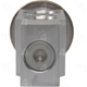 Purchase Top-Quality Expansion Valve by FOUR SEASONS - 39066 pa2