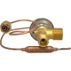 Purchase Top-Quality Expansion Valve by FOUR SEASONS - 39075 pa17