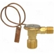Purchase Top-Quality Expansion Valve by FOUR SEASONS - 39091 pa10