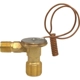 Purchase Top-Quality Expansion Valve by FOUR SEASONS - 39091 pa24