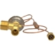 Purchase Top-Quality Expansion Valve by FOUR SEASONS - 39098 pa30
