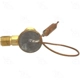 Purchase Top-Quality Expansion Valve by FOUR SEASONS - 39109 pa4