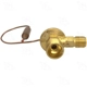 Purchase Top-Quality Expansion Valve by FOUR SEASONS - 39129 pa11