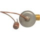 Purchase Top-Quality Expansion Valve by FOUR SEASONS - 39139 pa19
