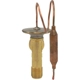Purchase Top-Quality Expansion Valve by FOUR SEASONS - 39145 pa41