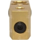 Purchase Top-Quality Expansion Valve by FOUR SEASONS - 39172 pa14