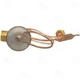 Purchase Top-Quality Expansion Valve by FOUR SEASONS - 39176 pa10