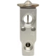 Purchase Top-Quality Expansion Valve by FOUR SEASONS - 39189 pa16