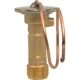 Purchase Top-Quality Expansion Valve by FOUR SEASONS - 39192 pa26
