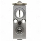 Purchase Top-Quality Expansion Valve by FOUR SEASONS - 39209 pa13