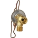 Purchase Top-Quality Expansion Valve by FOUR SEASONS - 39217 pa13
