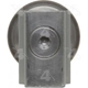 Purchase Top-Quality Expansion Valve by FOUR SEASONS - 39219 pa16