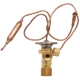 Purchase Top-Quality Expansion Valve by FOUR SEASONS - 39237 pa12