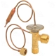 Purchase Top-Quality Expansion Valve by FOUR SEASONS - 39255 pa1