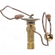 Purchase Top-Quality Expansion Valve by FOUR SEASONS - 39255 pa10