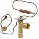Purchase Top-Quality Expansion Valve by FOUR SEASONS - 39255 pa2