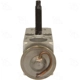 Purchase Top-Quality Expansion Valve by FOUR SEASONS - 39307 pa11
