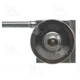 Purchase Top-Quality Expansion Valve by FOUR SEASONS - 39424 pa12