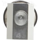 Purchase Top-Quality Expansion Valve by FOUR SEASONS - 39450 pa6