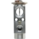 Purchase Top-Quality Expansion Valve by FOUR SEASONS - 39454 pa20