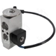 Purchase Top-Quality Expansion Valve by FOUR SEASONS - 39659 pa1