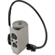Purchase Top-Quality Expansion Valve by FOUR SEASONS - 39665 pa1