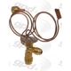 Purchase Top-Quality Expansion Valve by GLOBAL PARTS DISTRIBUTORS - 3411263 pa2