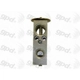 Purchase Top-Quality Expansion Valve by GLOBAL PARTS DISTRIBUTORS - 3411275 pa2