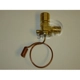 Purchase Top-Quality Expansion Valve by GLOBAL PARTS DISTRIBUTORS - 3411431 pa1