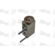 Purchase Top-Quality Expansion Valve by GLOBAL PARTS DISTRIBUTORS - 3411492 pa1