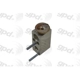 Purchase Top-Quality Expansion Valve by GLOBAL PARTS DISTRIBUTORS - 3411492 pa2
