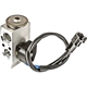 Purchase Top-Quality Expansion Valve by GLOBAL PARTS DISTRIBUTORS - 3411551 pa4