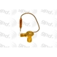 Purchase Top-Quality Expansion Valve by GLOBAL PARTS DISTRIBUTORS - 3411819 pa2