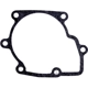 Purchase Top-Quality Extension Housing Gasket by PIONEER - 749093 pa1