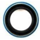 Purchase Top-Quality Extension Housing Seal by PIONEER - 759039 pa1