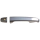 Purchase Top-Quality Exterior Door Handle by DORMAN/HELP - 81169 pa1