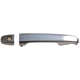 Purchase Top-Quality Exterior Door Handle by DORMAN/HELP - 81169 pa6