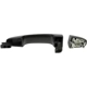 Purchase Top-Quality Exterior Door Handle by DORMAN/HELP - 81316 pa1