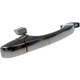 Purchase Top-Quality Exterior Door Handle by DORMAN/HELP - 81373 pa6