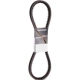 Purchase Top-Quality Fan Belt by DAYCO - 17520 pa2